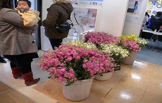 お花の販売コーナーです